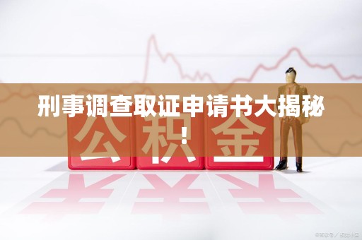 福清刑事调查取证申请书大揭秘！